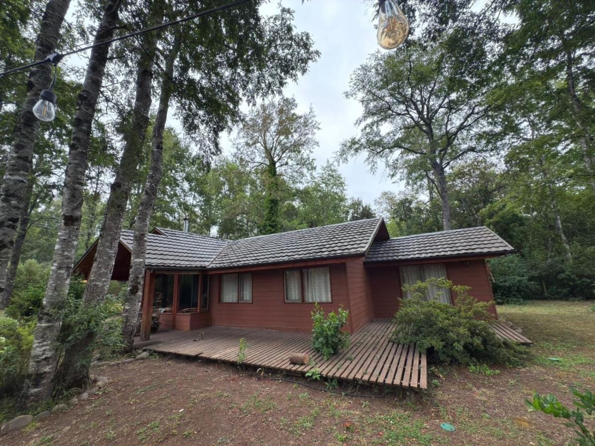 La Casa del Bosque entre los árboles